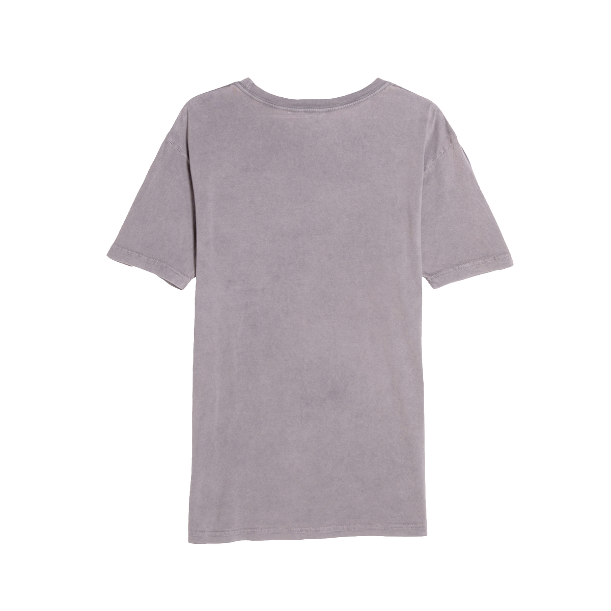 Scorpion — Vintage Washed Graphic Tee